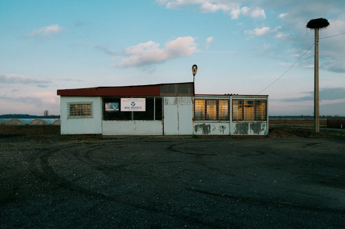 Your Backyard Is Exotic Enough